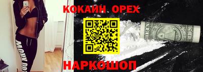 индика Нальчик