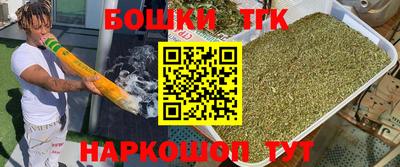 индика Нальчик