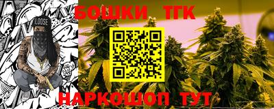 гашик Нарткала