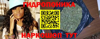 гашик Нарткала
