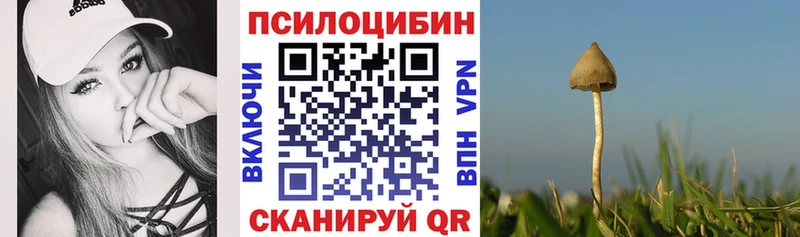 Псилоцибиновые грибы мицелий  Сыктывкар 